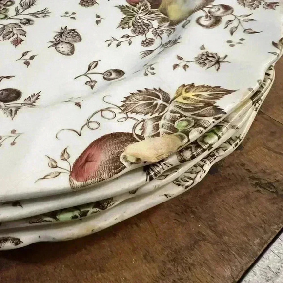 Johnson Brothers Autumn  Delight 10" Round Dinner Plates Vintage Set of 4 - Picture 5 of 6